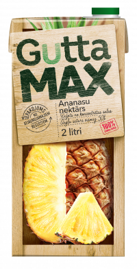 Ananasu nektārs 2L